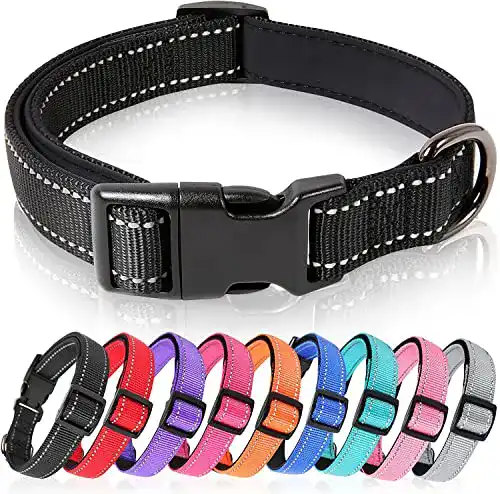 Hundehalsband Heele aus Neopren und Nylon, weich gepolstert und verstellbar