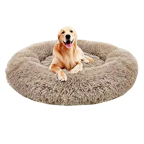 Hundebett Donut GDDO orthopädisches Haustierbett für große Hunde