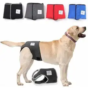 Läufigkeitshose für Hunde von Nature Pet – Optimale Passform für Hündinnen