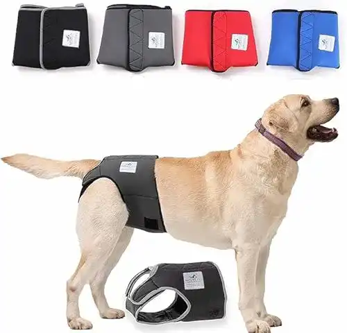 Läufigkeitshose für Hunde von Nature Pet – Optimale Passform für Hündinnen