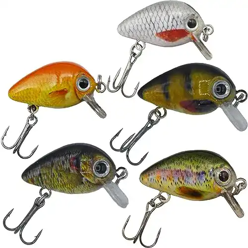Forellenwobbler Paradox Fishing Mini Wobbler Set mit 5 Wobblern