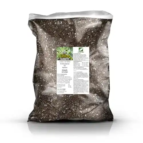 Palmenerde Green24 Profi Linie 10 Liter für Palmen