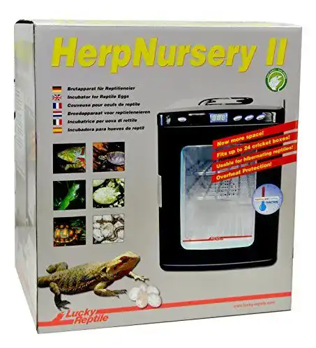 Brutmaschine Lucky Reptile – Inkubator für Reptilieneier