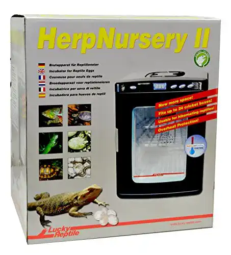 Brutmaschine Lucky Reptile – Inkubator für Reptilieneier