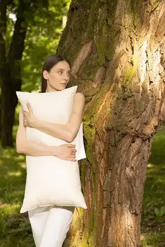 Kopfkissenset für Wasserbett von Vitaschlaf Bio-Luxe-KBA Daune