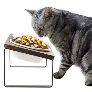 Ergonomischer Katzennapf Guusii Home Futterstation für Katzen