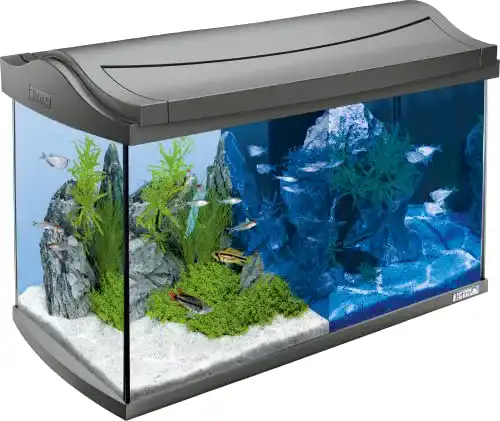 60-Liter-Aquarium Tetra AquaArt LED Komplett-Set