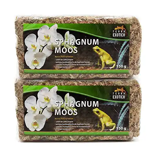 Sphagnum Moos Terra Exotica (300 g) für Garten- und Terrarienpflanzen