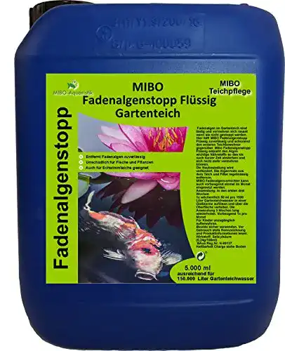 Mittel gegen Fadenalgen von MIBO Aquaristik