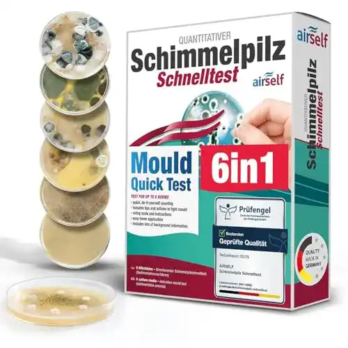 Schimmeltest von Airself für die Bestimmung von Schimmelpilzen