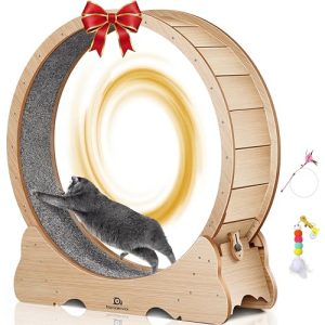 Katzenlaufrad Naviconvex – Leises Indoor Laufband für Katzen mit 100 cm Durchmesser