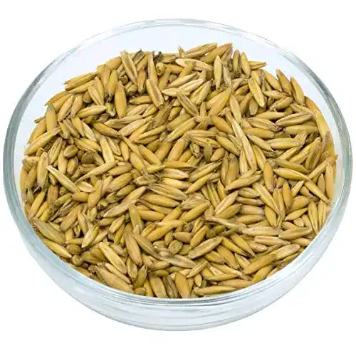 Futterhafer Leimüller Bio Hafer ganz 20 kg für Pferde und Vögel