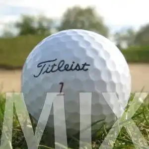 Titleist 50 Mix Lakeballs – Golfbälle in geprüfter Qualität