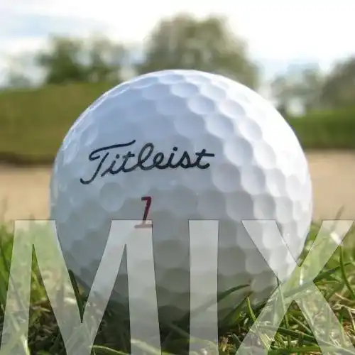 Titleist 50 Mix Lakeballs – Golfbälle in geprüfter Qualität