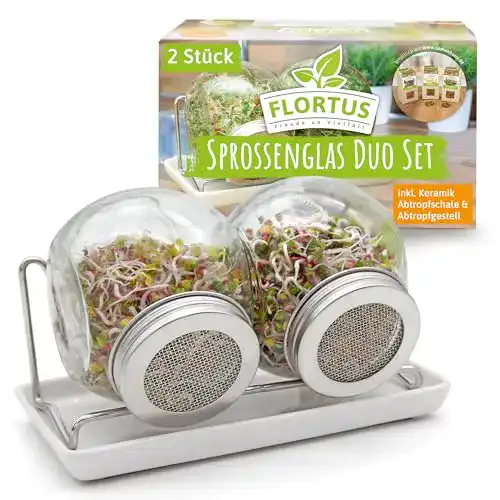 Sprossengläser von FLORTUS für die einfache Sprossenzucht