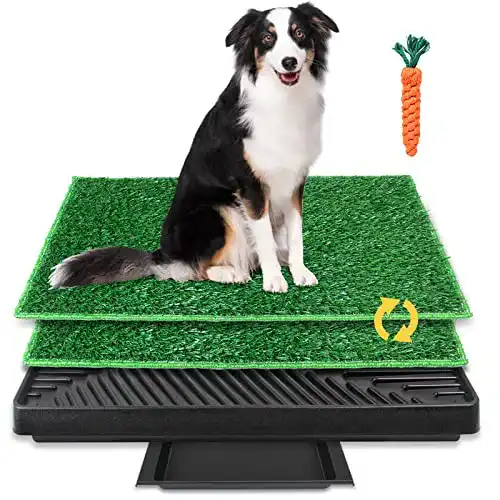 Hundetoilette Brian & Dany mit Trainingsunterlage und Kunstrasen