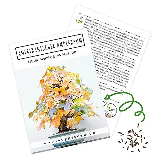 Bonsai-Samen von HappySeed – Exklusive Sammlung seltener Arten