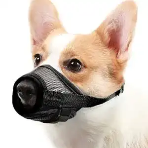 Mayerzon Maulkorb für Hunde Sicherer und bequemer Maulschutz