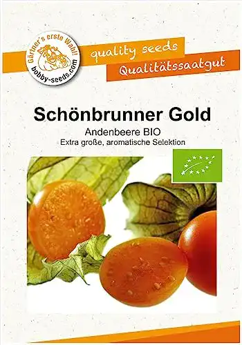 Physalis-Samen ‚Schönbrunner Gold‘ von Bobby Seeds