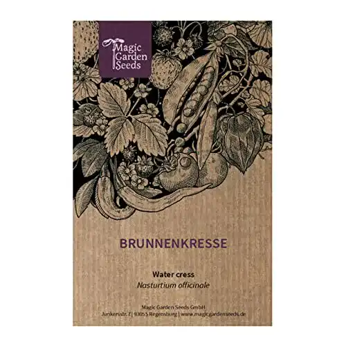 Brunnenkresse Samen von Magic Garden Seeds – Nasturtium officinale