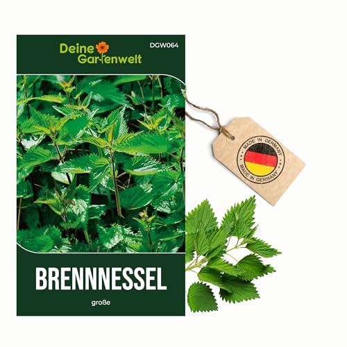 Brennnesselsamen Urtica dioica für den Garten – Saatgut für 250 Pflanzen