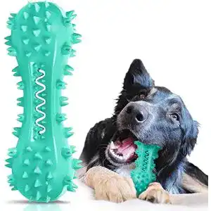 Kauspielzeug für Hunde – Youmics Zahnbürste zur Zahnreinigung