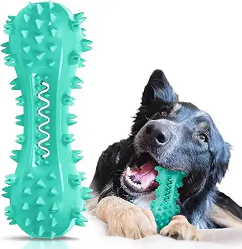 Kauspielzeug für Hunde – Youmics Zahnbürste zur Zahnreinigung