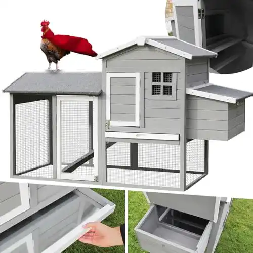 Hühnerstall Miweba MyAnimal MH-21 XXL für 3 Hühner mit Freilaufgehege