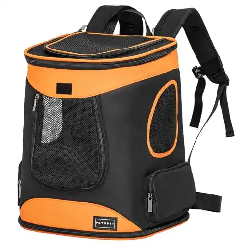 Katzenrucksack Petsfit für große Katzen bis 5 kg und kleine Hunde