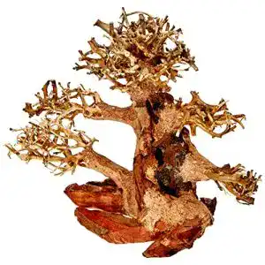 Aquarium Wurzeln Amtra Oriental Wind Wood 4 Dekoration