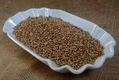 Koriandersamen von Naturix24 Ganze Koriandersamen im 1 kg Beutel
