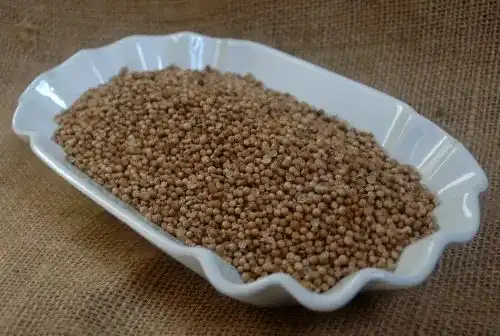 Koriandersamen von Naturix24 Ganze Koriandersamen im 1 kg Beutel