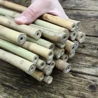 Bambusrohre für Pflanzenstützen und Insektenhotels, 105 cm, 15-17 mm