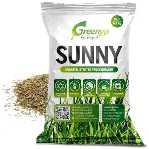 Rasensamen Greenyp Sunny für trockene Standorte