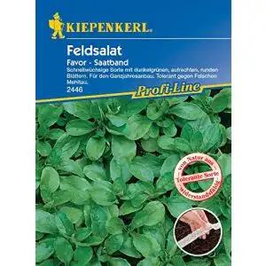 Feldsalat Saatband Kiepenkerl Favor 2446 Vorportionierte Aussaat