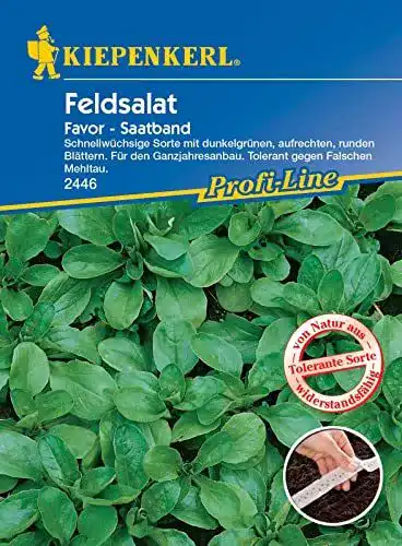 Feldsalat Saatband Kiepenkerl Favor 2446 Vorportionierte Aussaat