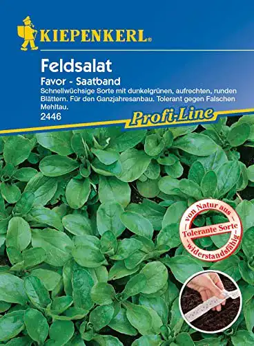 Feldsalat Saatband Kiepenkerl Favor 2446 Vorportionierte Aussaat