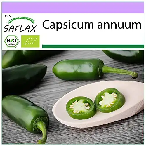 Jalapeno Samen von Saflax, BIO, Chili Early Jalapeno, 20 Stück
