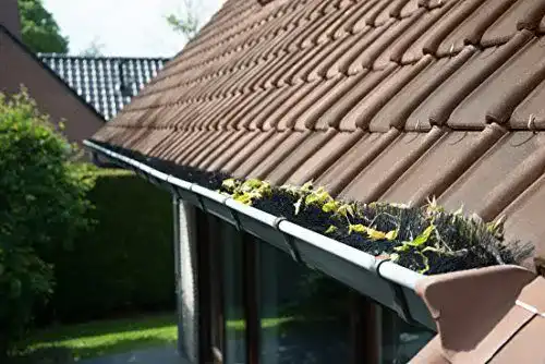 Dachrinnenbürste HOCHEPIED BVBA 10 Meter mit 100 cm Länge und Ø 12 cm
