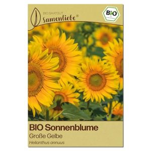 BIO Sonnenblumensamen von Samenliebe – Große Gelbe, für Garten und Balkon