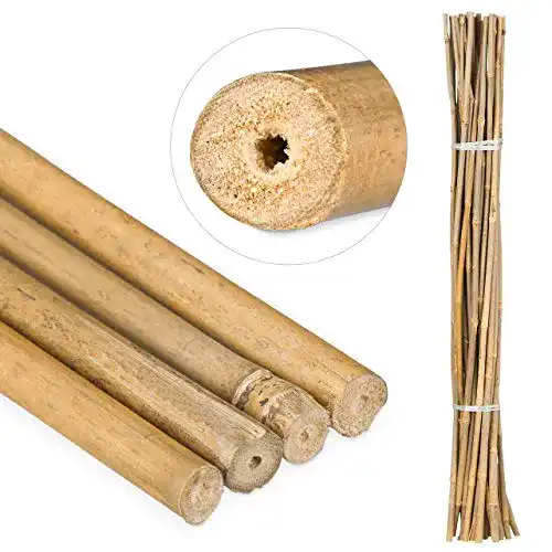 Bambusstäbe Relaxdays 105 cm, 25 Stück aus natürlichem Bambus