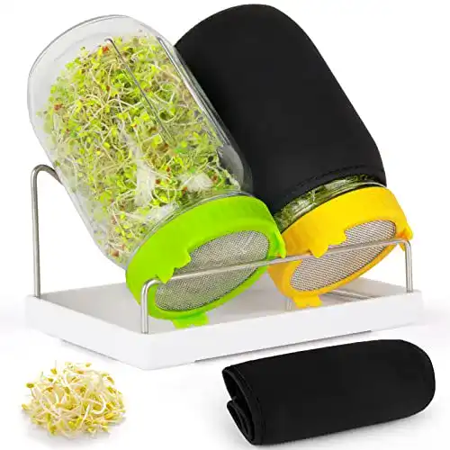 Kitmiido Keimglas Set für Sprossen und Keimgeräte