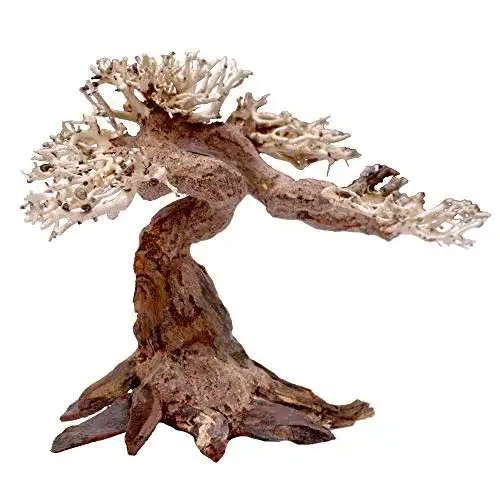 Aquarium Wurzeln Amtra Oriental Wind 5 Holz für Aquarien