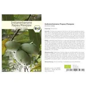 Bananensamen Seedeo Indianerbanane/Papau/Pawpaw (Asimina triloba) 3 Samen