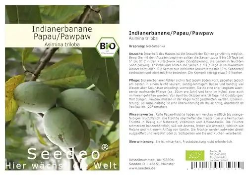 Bananensamen Seedeo Indianerbanane/Papau/Pawpaw (Asimina triloba) 3 Samen