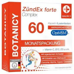 Schmerzmittel Botanicy Zündex Forte Complex 60 MSM Kapseln