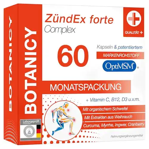 Schmerzmittel Botanicy Zündex Forte Complex 60 MSM Kapseln