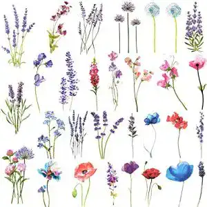 Temporäre Tattoos COKTAK 12 Blätter Aquarell Lavendel für Frauen