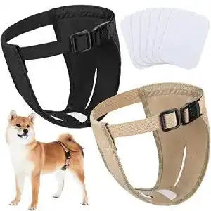 Läufigkeitshose für Hündinnen im 2er Pack