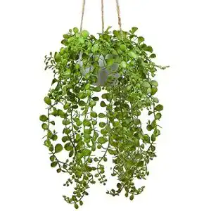 Hängepflanze Briful Künstliche Ficus Pumila für Wanddekoration